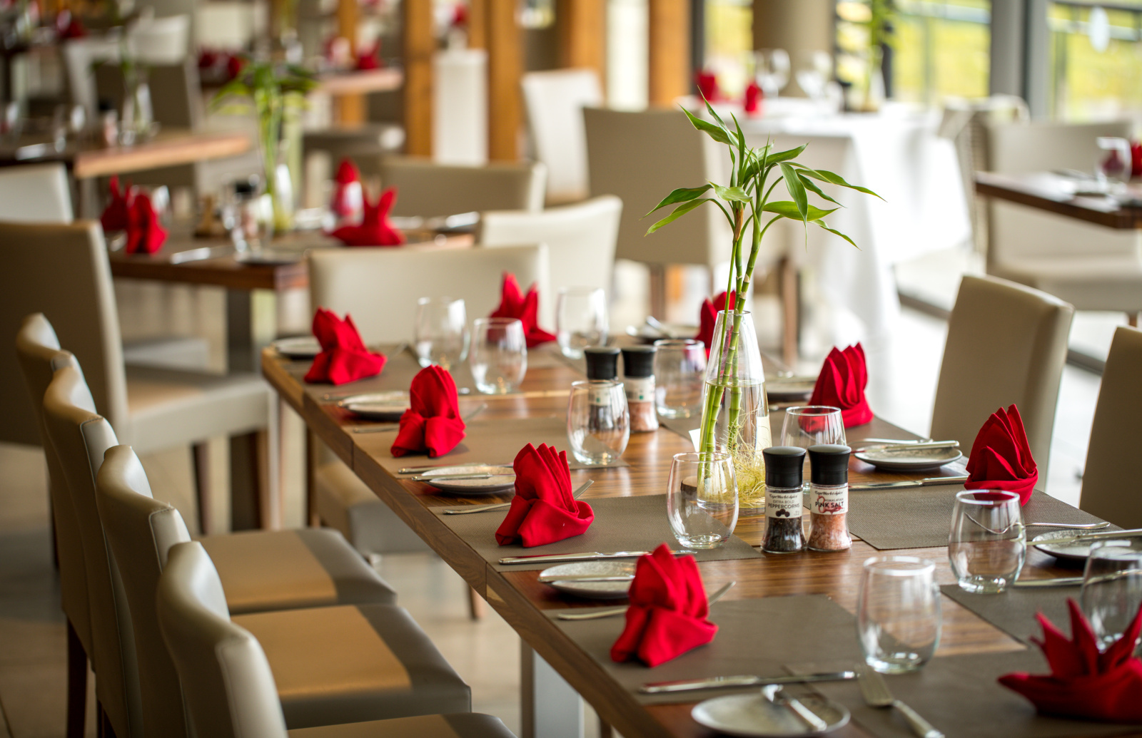 Image_, Terrain à batir, Bois Cheri, ref :2506031AN