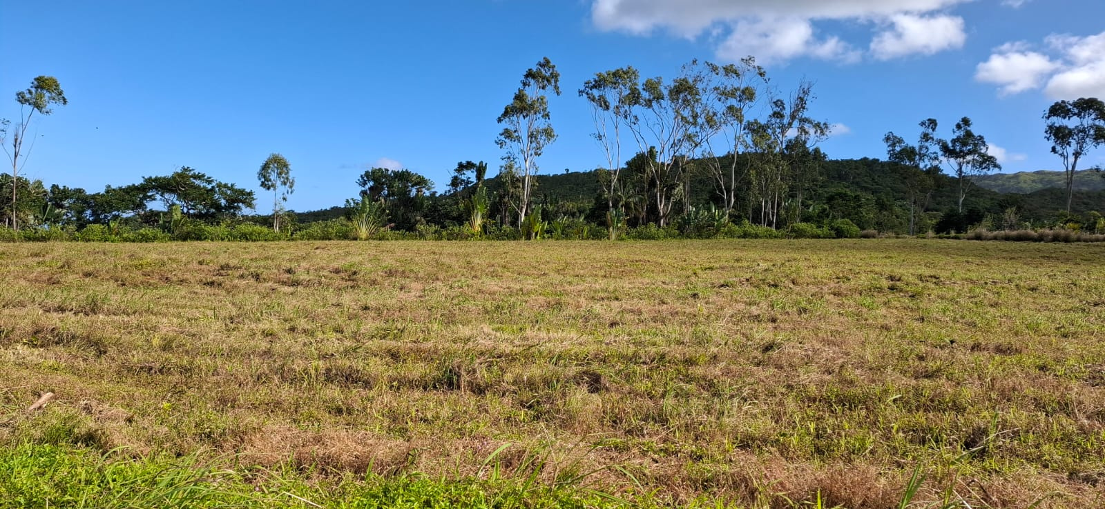 Image_, Terrain à batir, Bois Cheri, ref :2506031AN