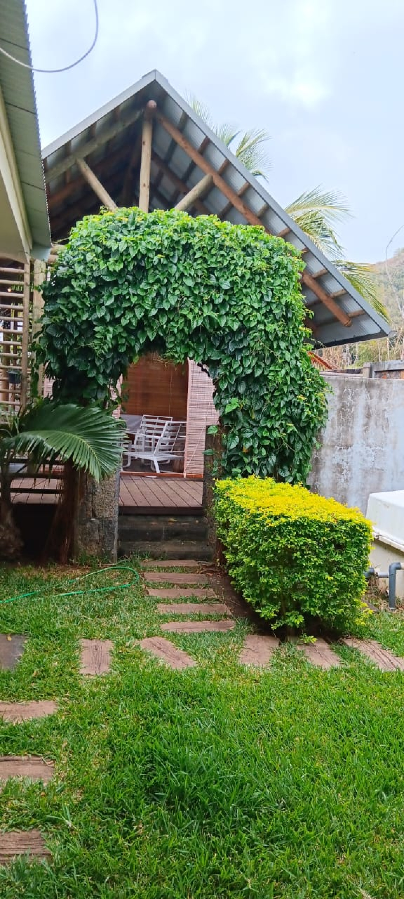 Image_, Maison, Black River, ref :2509035VG