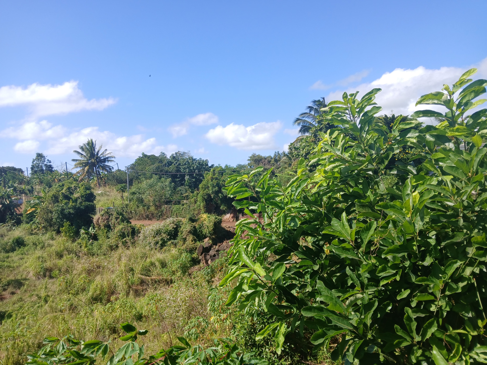 Image_, Terrain agricole, Terre Rouge, ref :2506060SV 