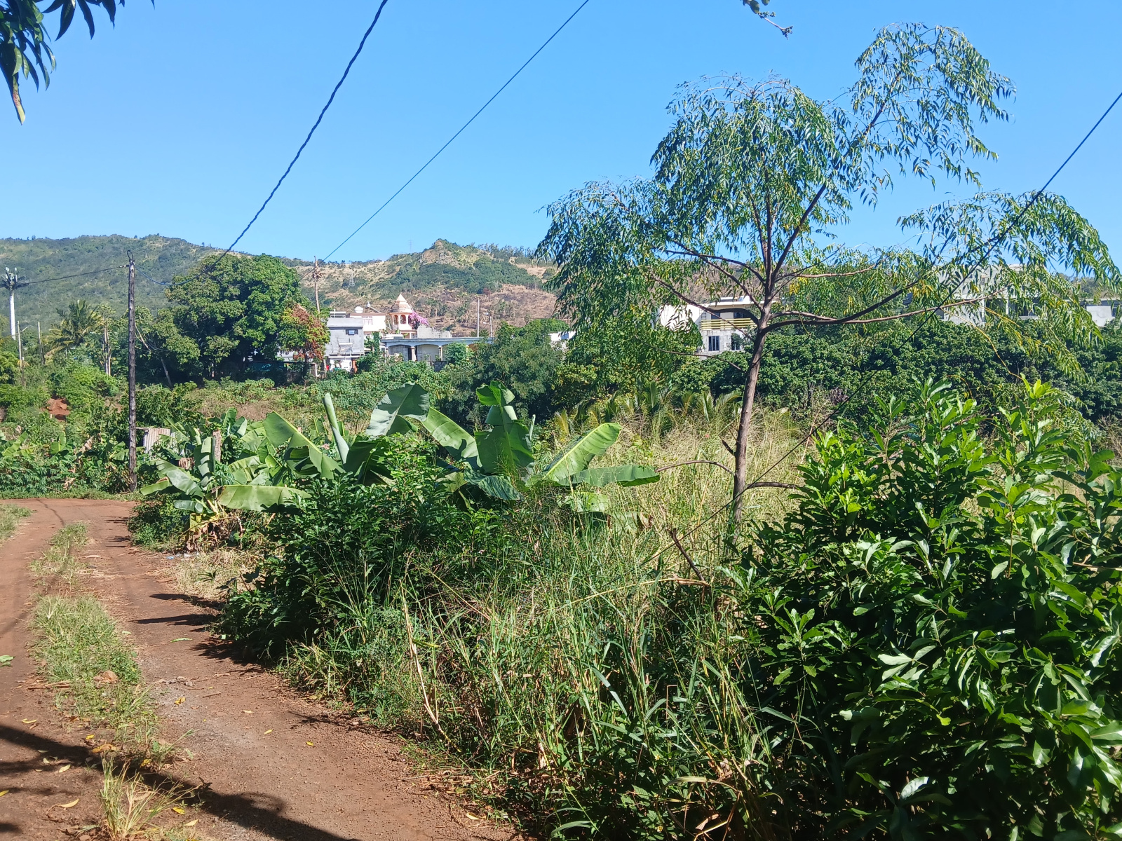 Image_, Terrain agricole, Terre Rouge, ref :2506060SV 