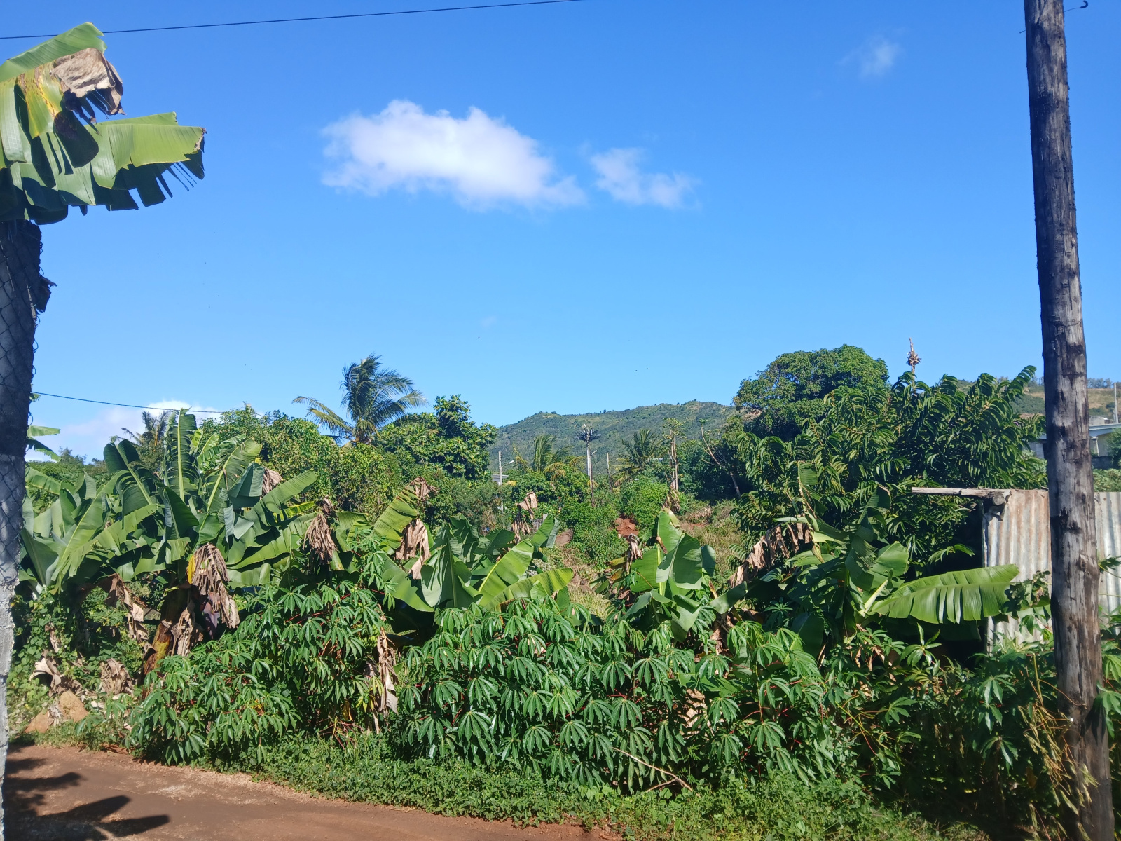 Image_, Terrain agricole, Terre Rouge, ref :2506060SV 