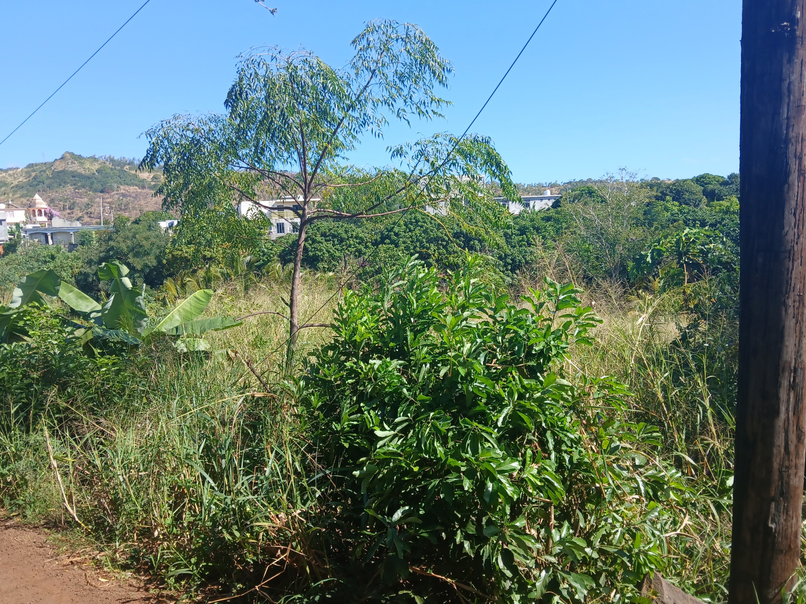 Image_, Terrain agricole, Terre Rouge, ref :2506060SV 