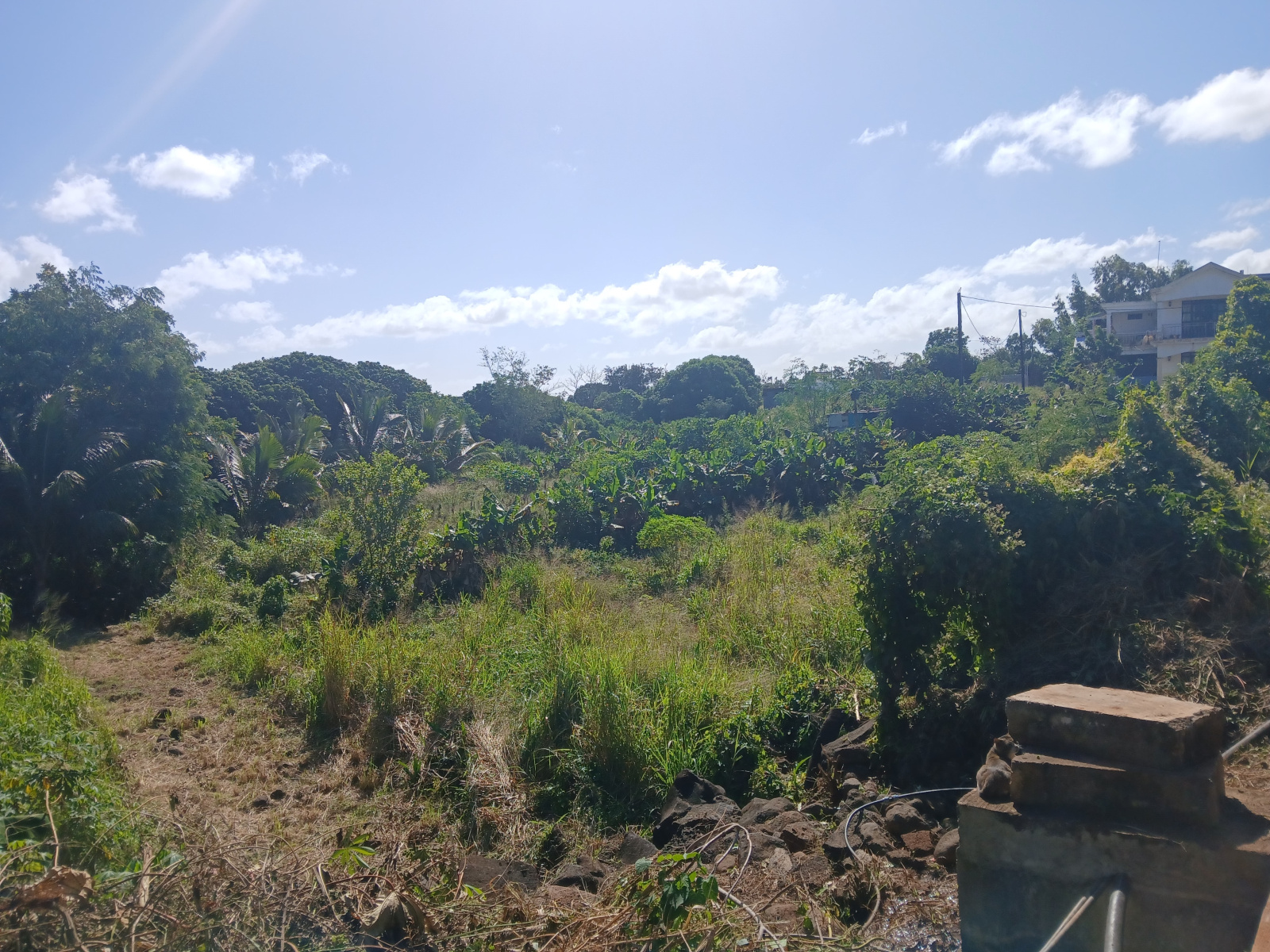 Image_, Terrain agricole, Terre Rouge, ref :2506060SV 