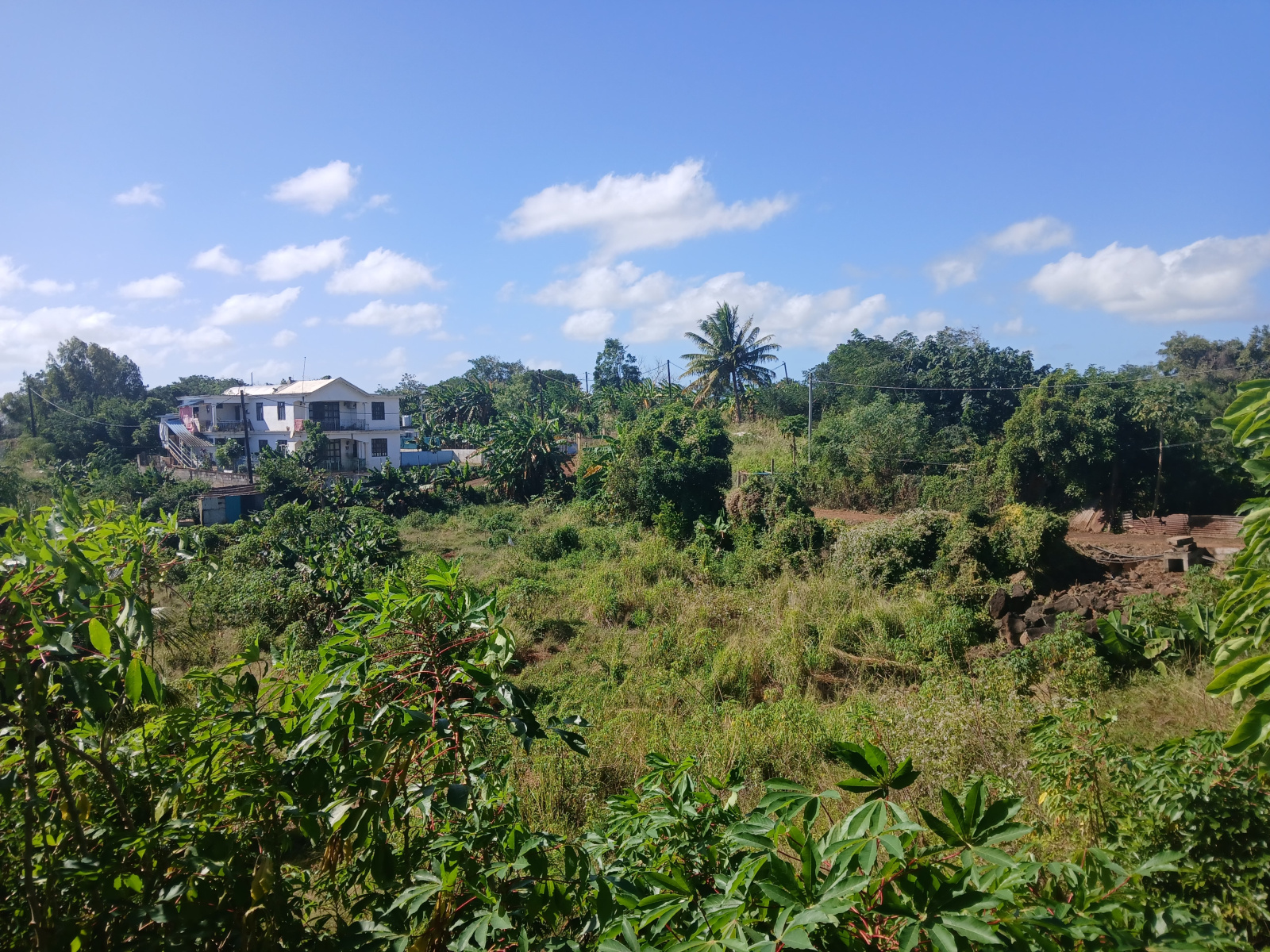 Image_, Terrain agricole, Terre Rouge, ref :2506060SV 