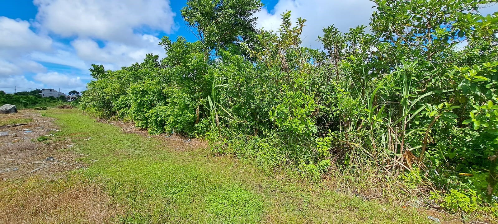 Image_, Terrain agricole, Quartier Militaire, ref :2505007EGJM