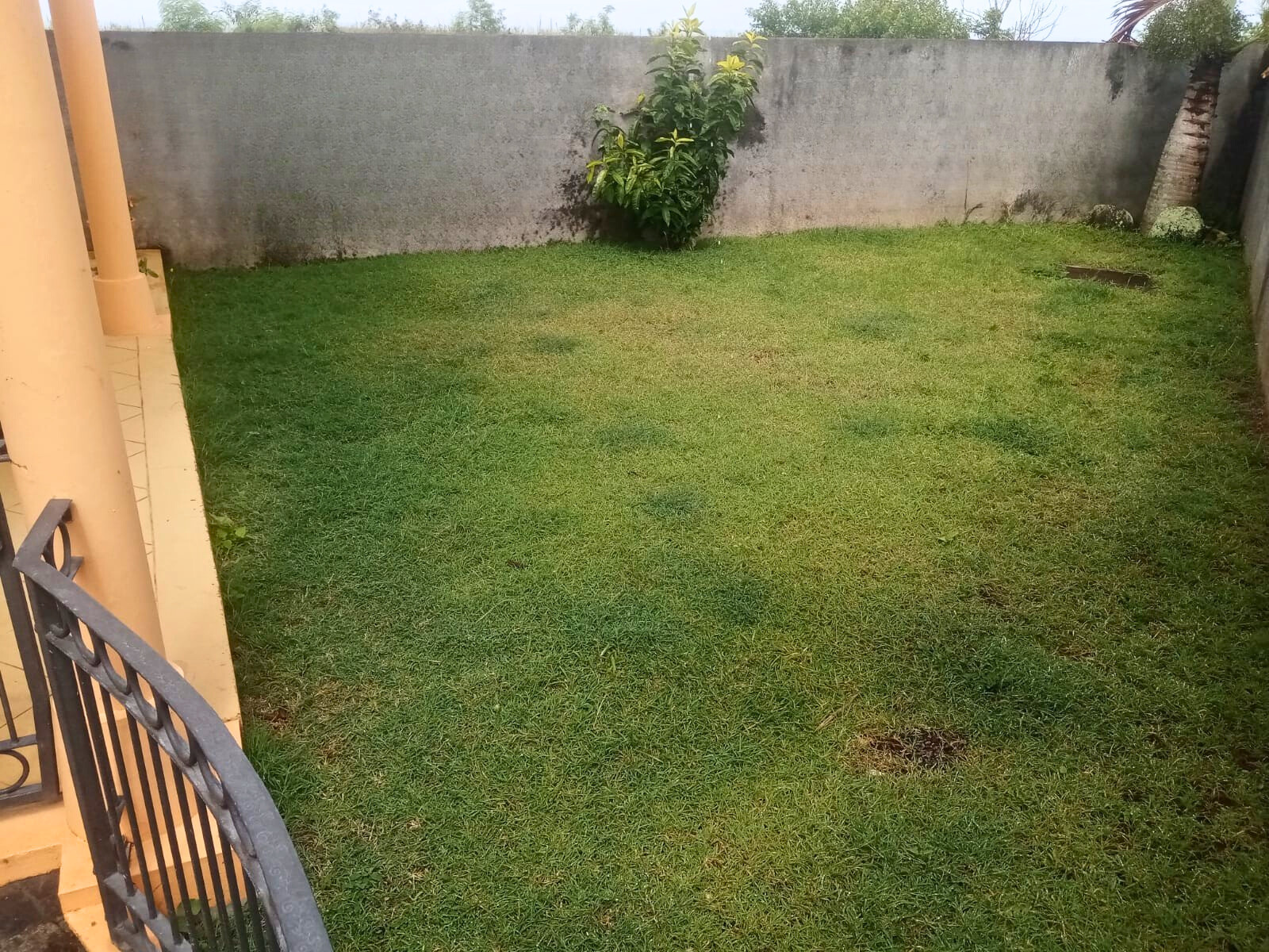 Image_, Maison, Rose- Hill, ref :2601009JN