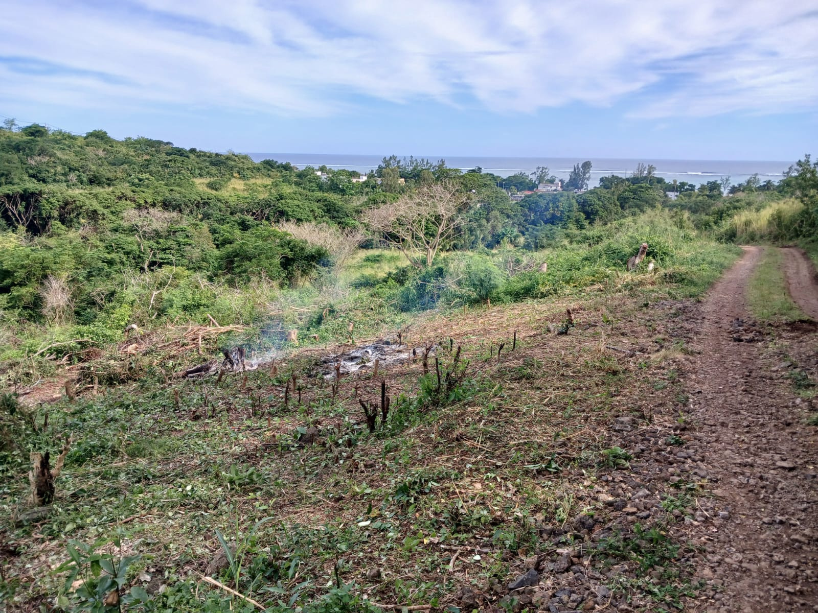 Image_, Terrain agricole, Baie Du Cap, ref :2509045EGNM