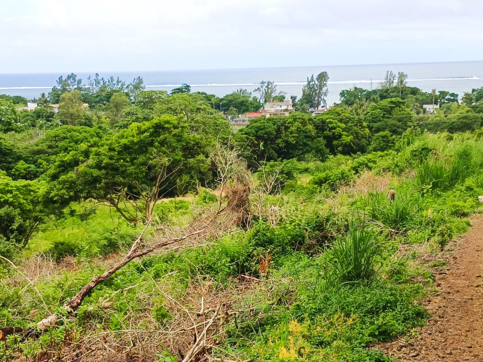 Image_, Terrain agricole, Baie Du Cap, ref :2509045EGNM