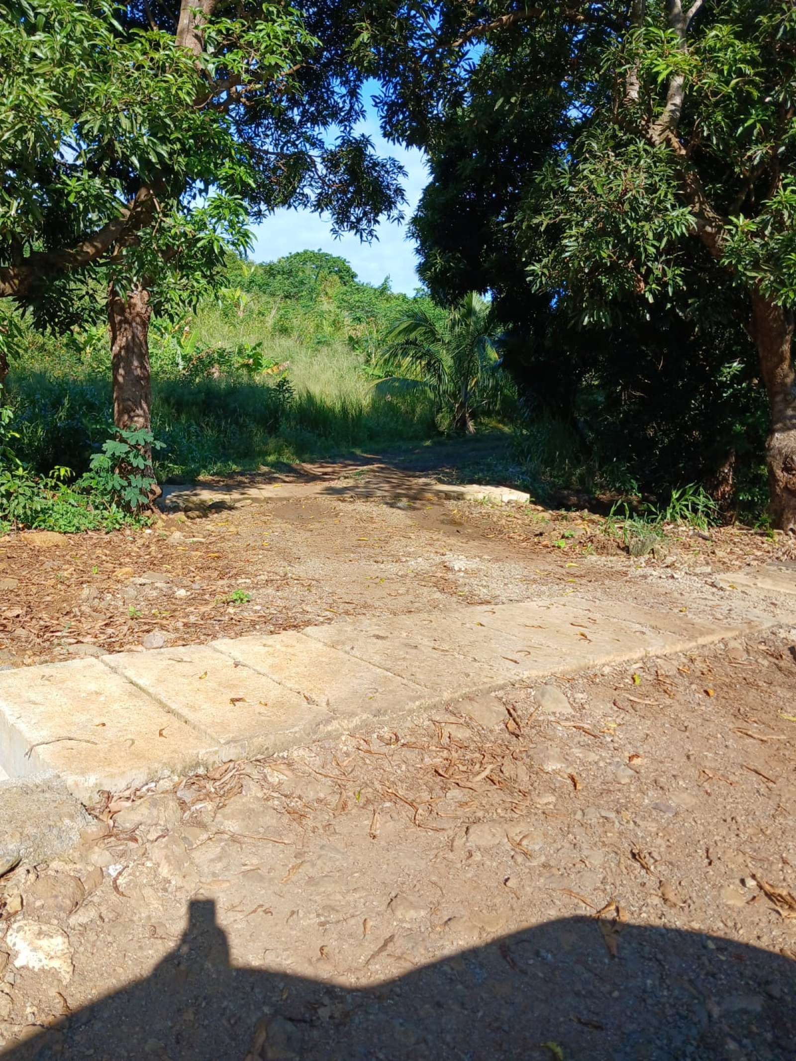 Image_, Terrain agricole, Baie Du Cap, ref :2509045EGNM