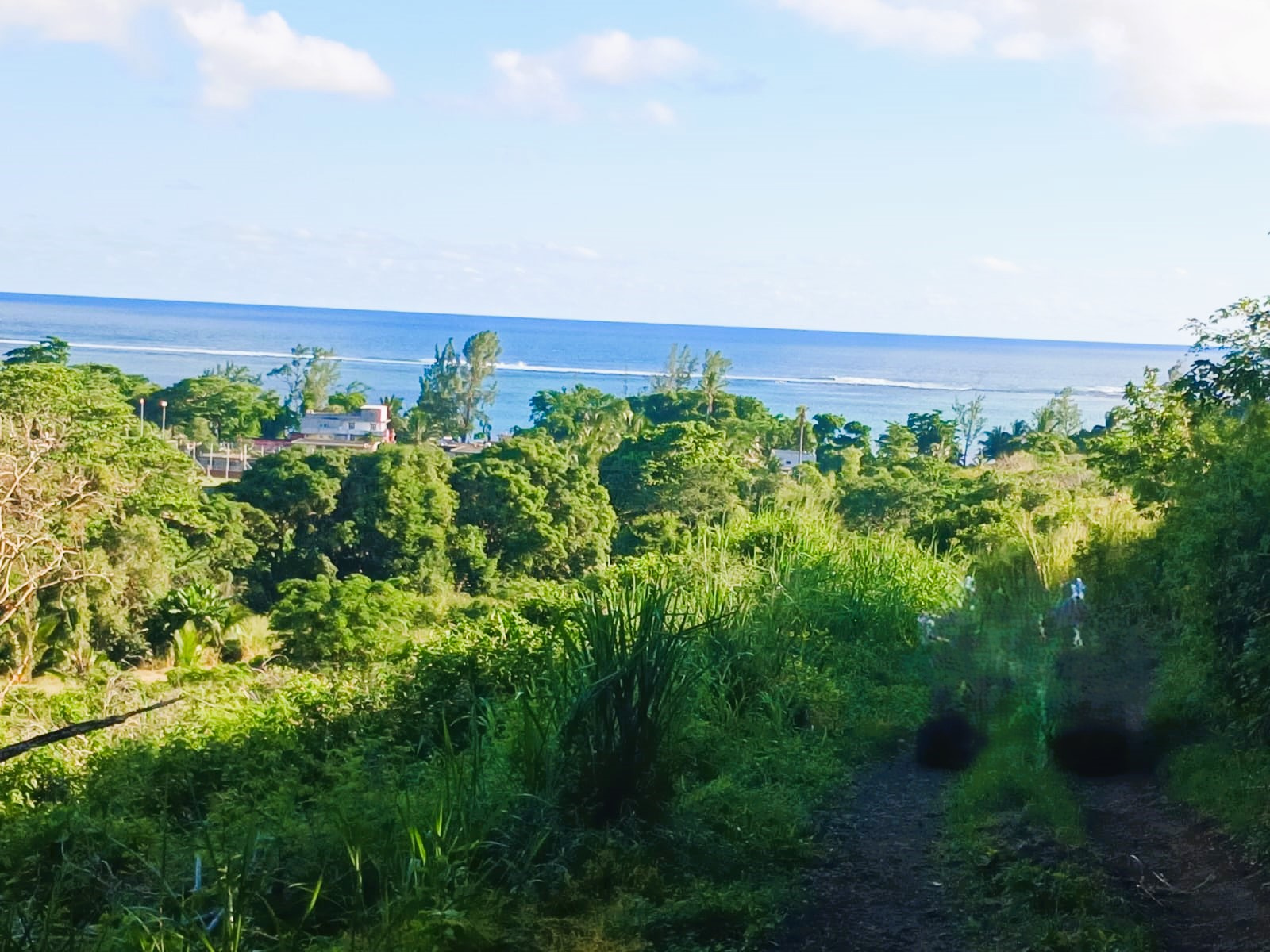 Image_, Terrain agricole, Baie Du Cap, ref :2509045EGNM