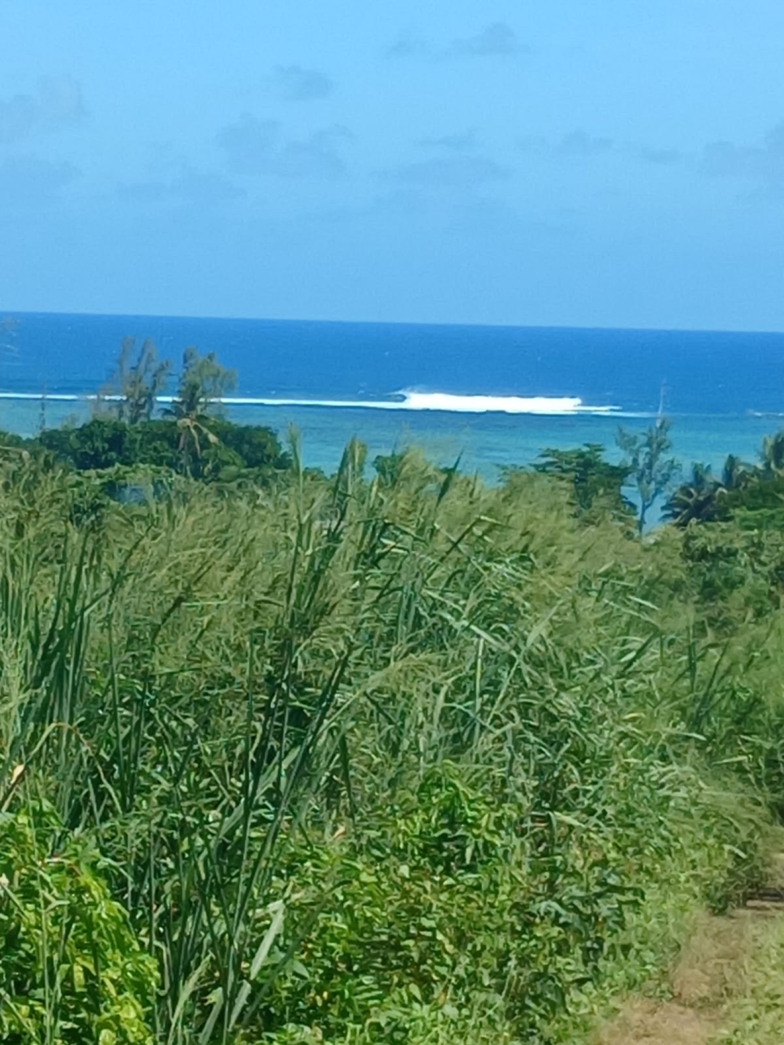 Image_, Terrain agricole, Baie Du Cap, ref :2509045EGNM