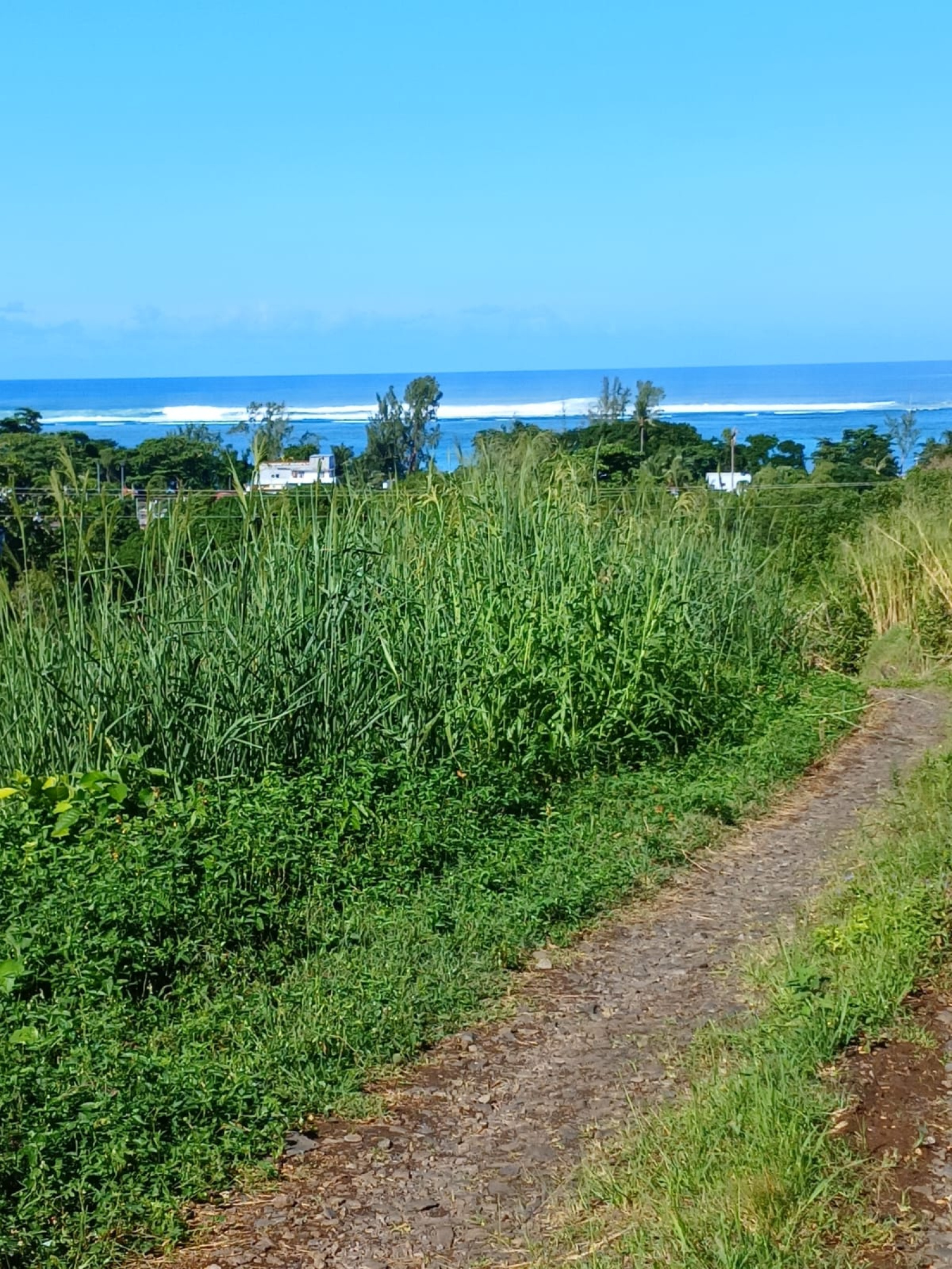 Image_, Terrain agricole, Baie Du Cap, ref :2509045EGNM