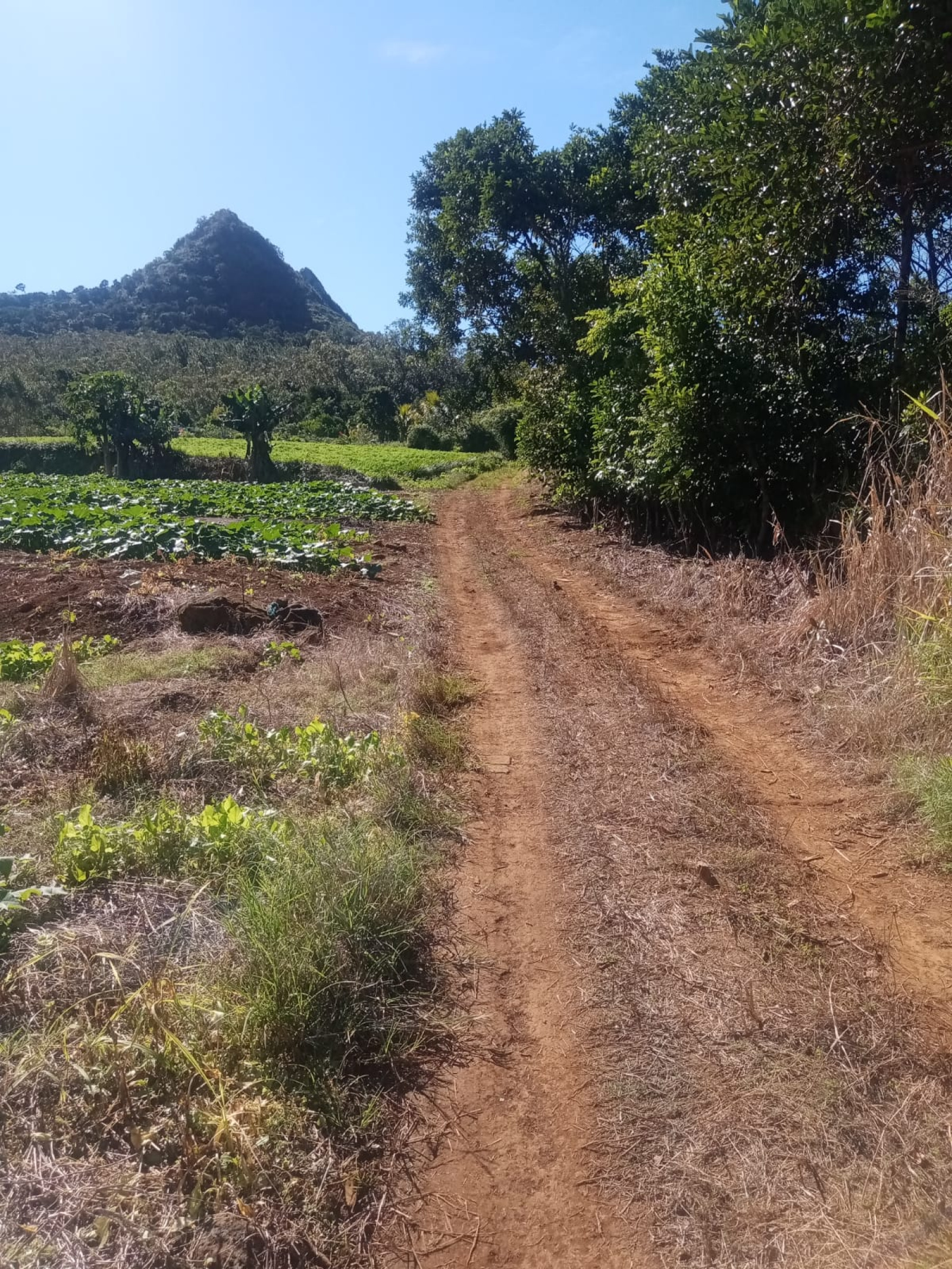 Image_, Terrain agricole, La Laura / Malenga, ref :2506048EGNM