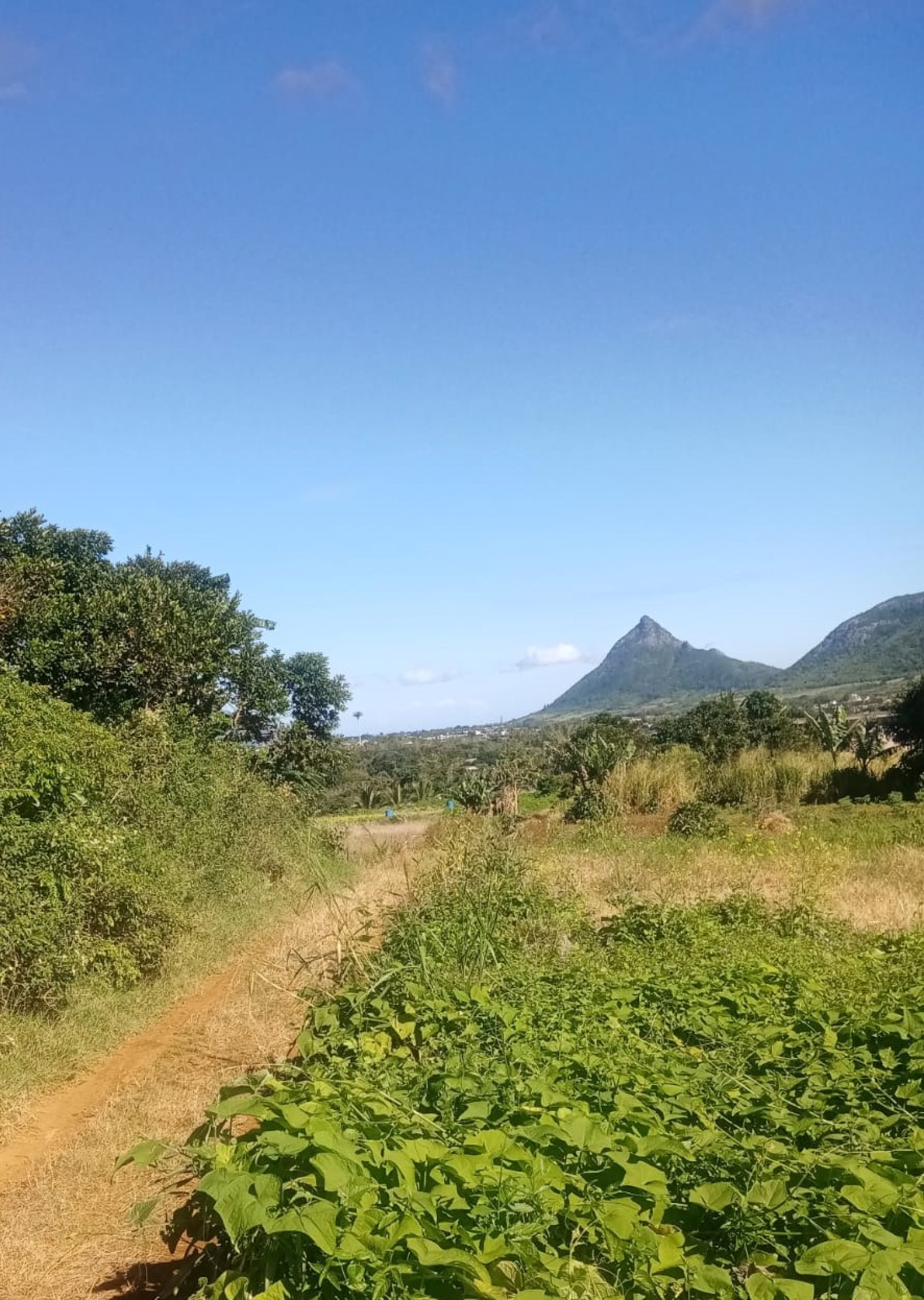 Image_, Terrain agricole, La Laura / Malenga, ref :2506048EGNM