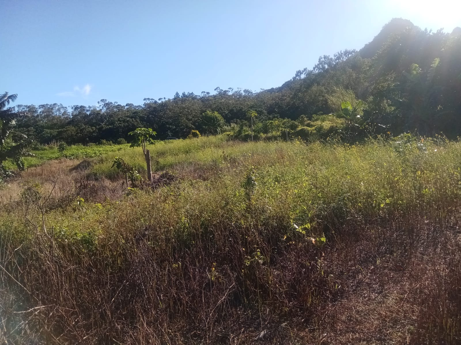Image_, Terrain agricole, La Laura / Malenga, ref :2506048EGNM
