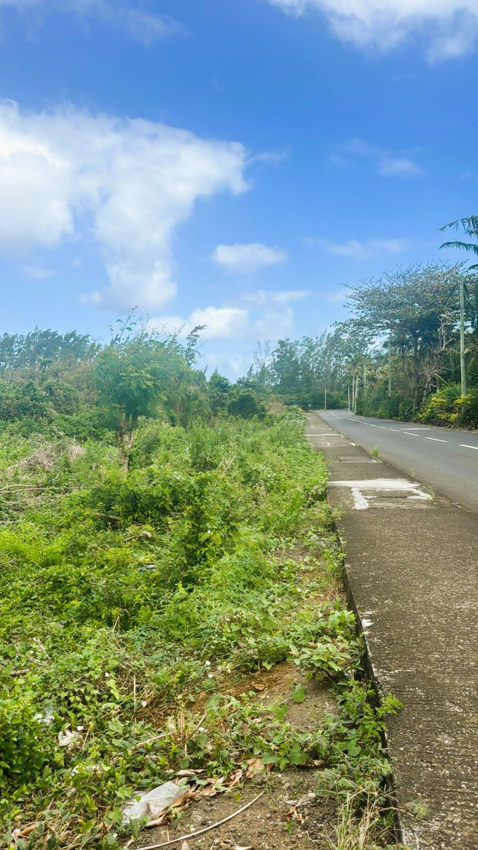 Image_, Terrain à batir, Surinam, ref :2508001EGSG
