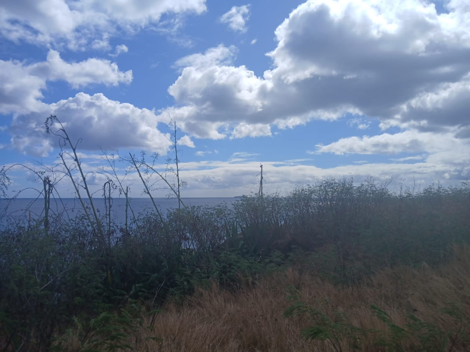 Image_, Terrain à batir, Albion, ref :2507030SV