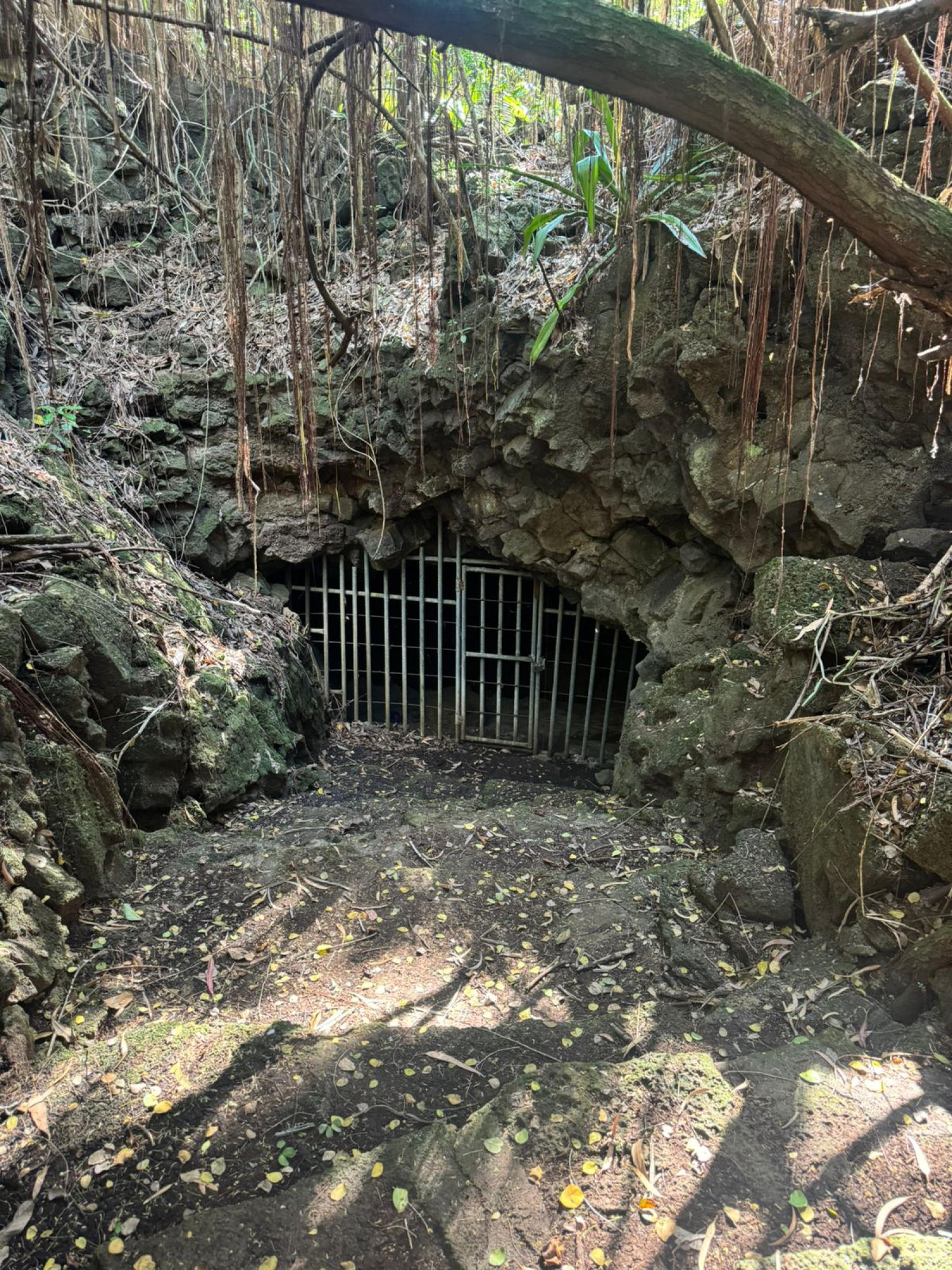 Image_, Maison, Roches Noires, ref :2509021EG