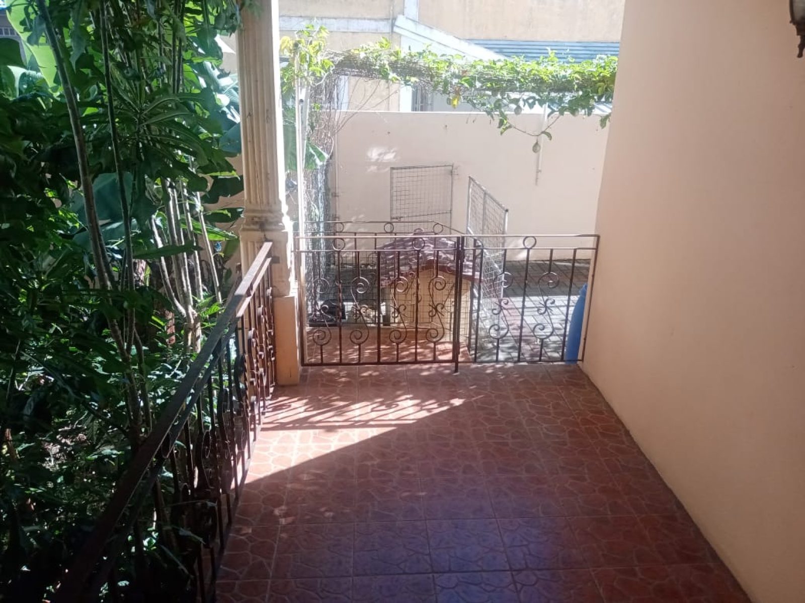 Image_, Maison, Rose- Hill, ref :2505039NM
