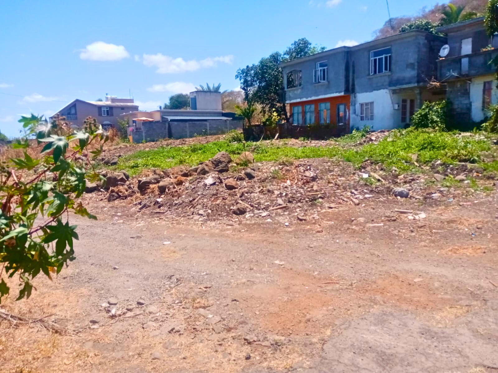 Image_, Terrain à batir, Bambous, ref :2510049AEGJN