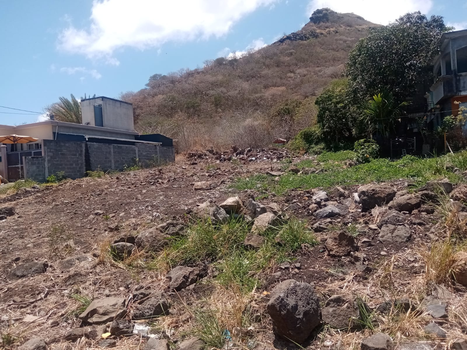 Image_, Terrain à batir, Bambous, ref :2510049AEGJN