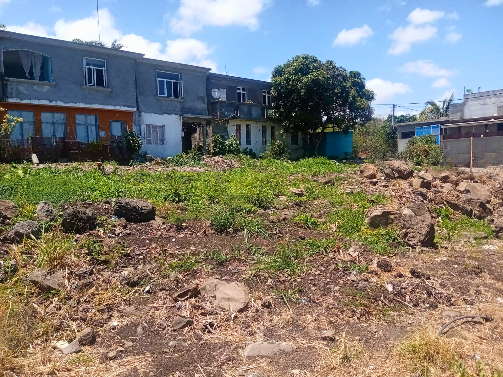 Image_, Terrain à batir, Bambous, ref :2510049AEGJN