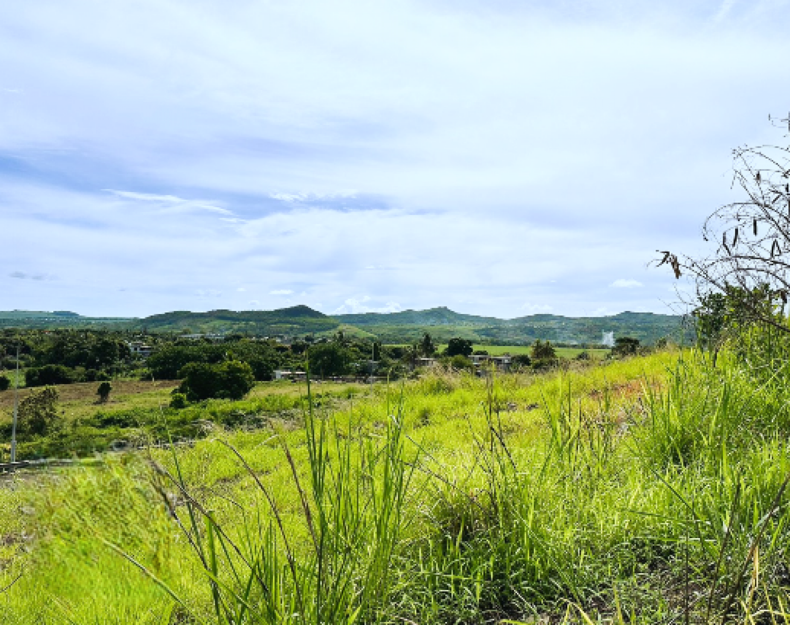 Image_, Terrain agricole, Terre Rouge, ref :2406057CM