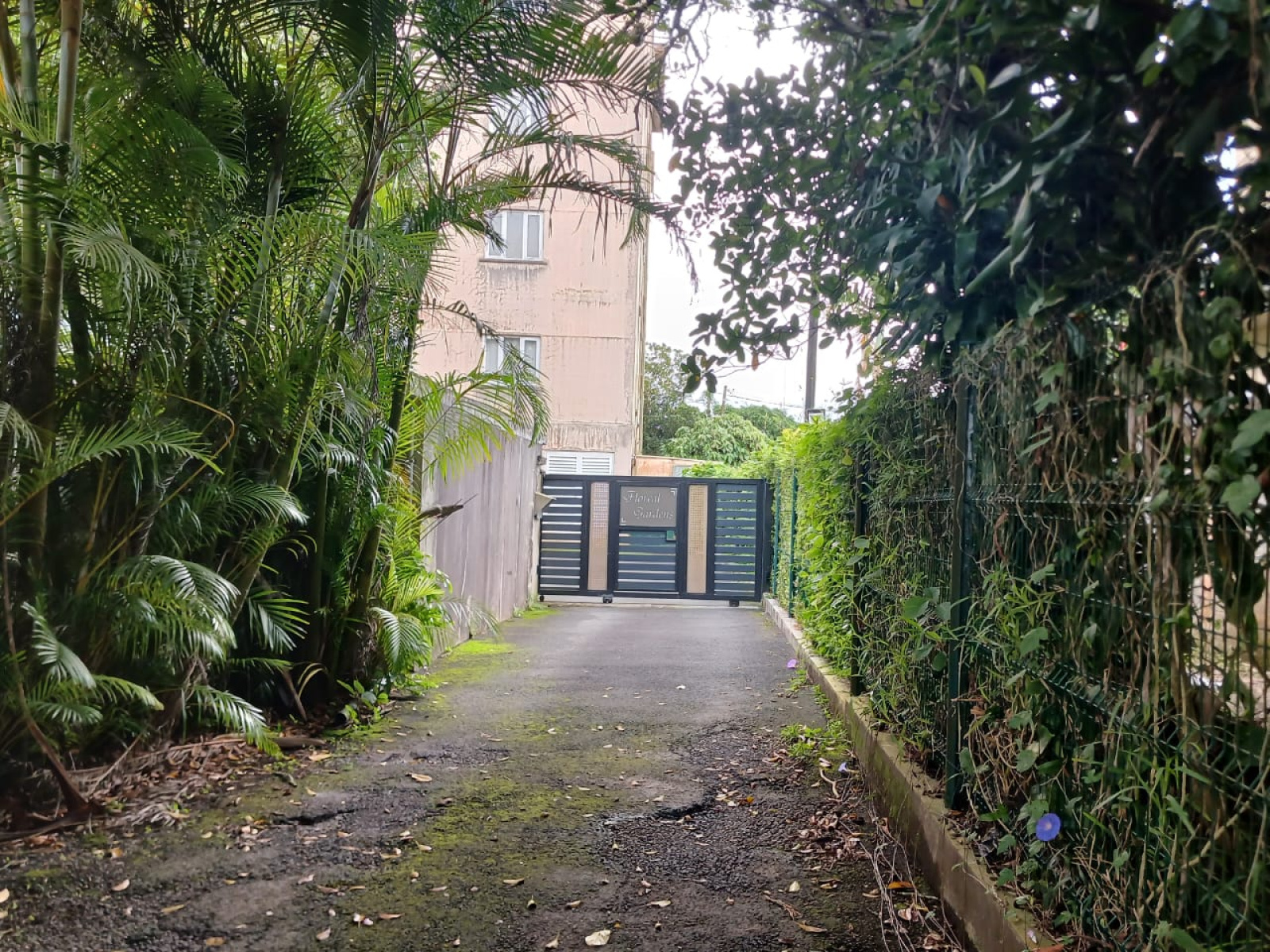 Image_, Appartement, Vacoas / Floreal, ref :2506003NM