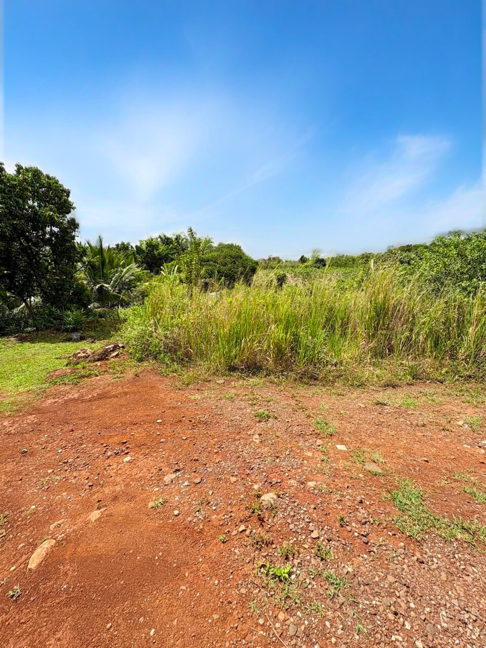 Image_, Terrain à batir, Brisee Verdiere, ref :2511014AROSF