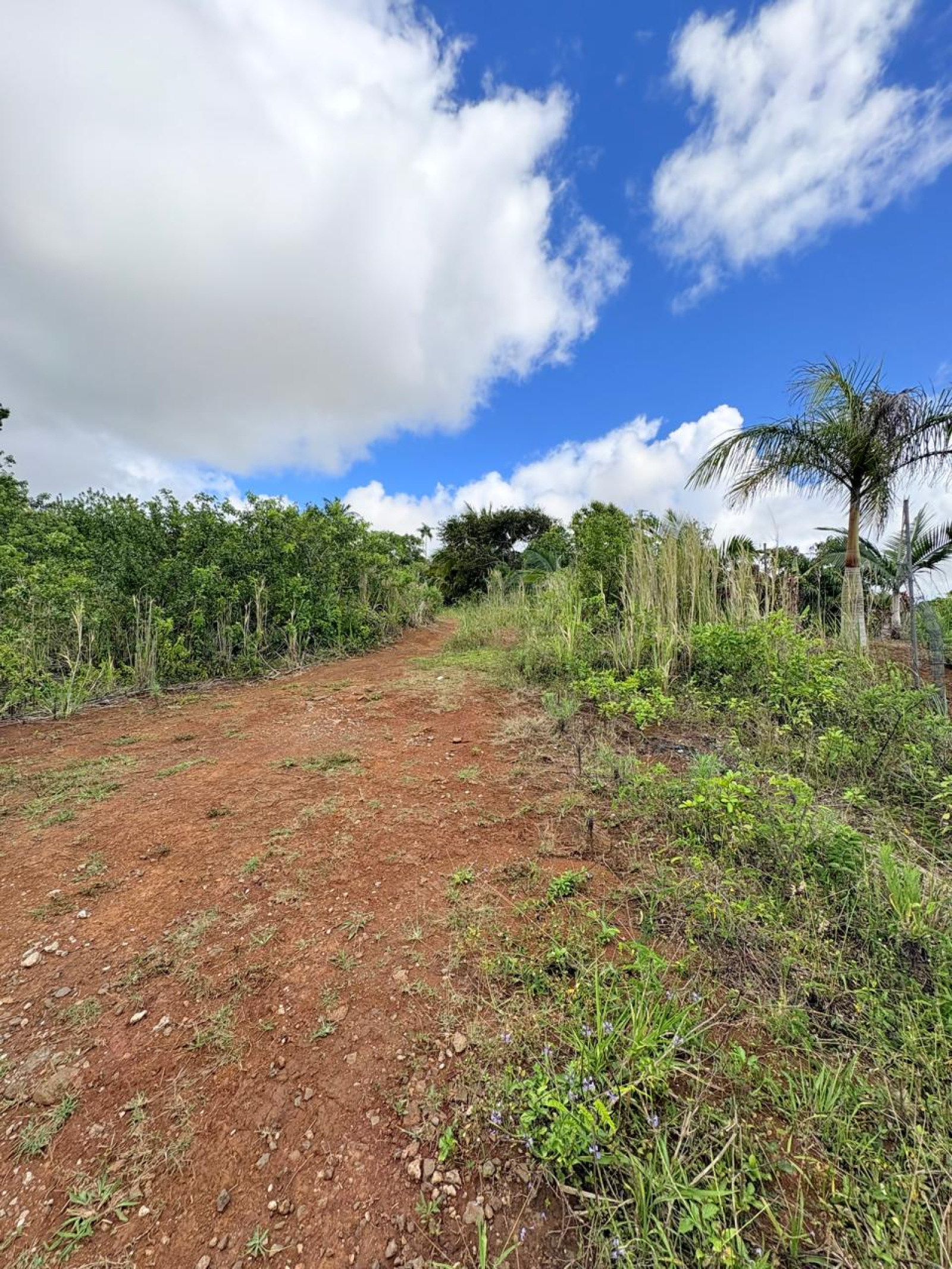 Image_, Terrain à batir, Brisee Verdiere, ref :2511014AROSF