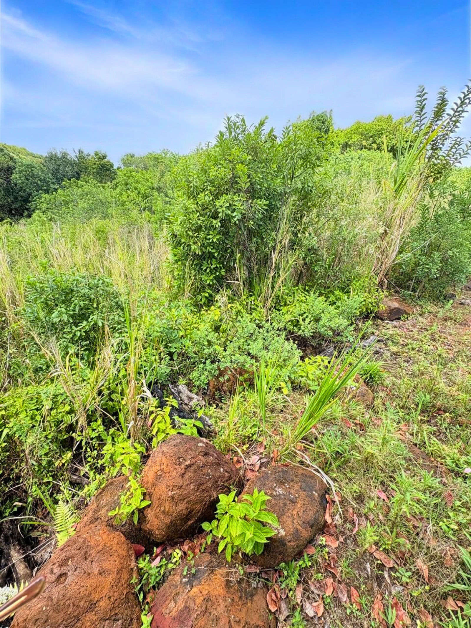 Image_, Terrain à batir, Brisee Verdiere, ref :2511014AROSF