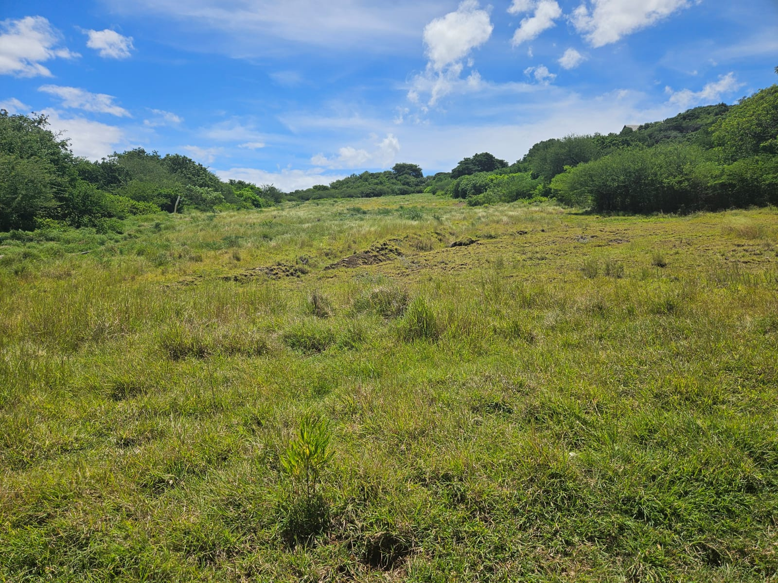 Vente TERRAIN RÉSIDENTIEL EN VENTE À DOMAINE PALMYRE, RIVIÈRE NOIRE